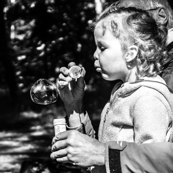 Thumbnail for Fragen und Antworten